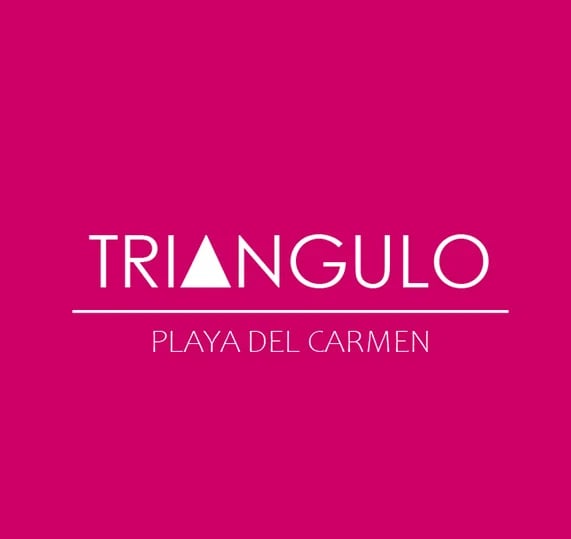 BMF_web_lateral_Triangulo