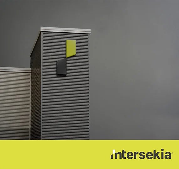 BMF_web_lateral_intersekia2