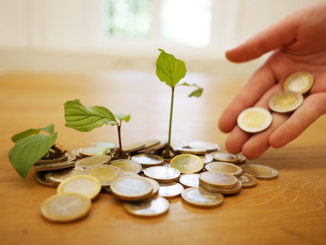 monedas con plantas y una mano